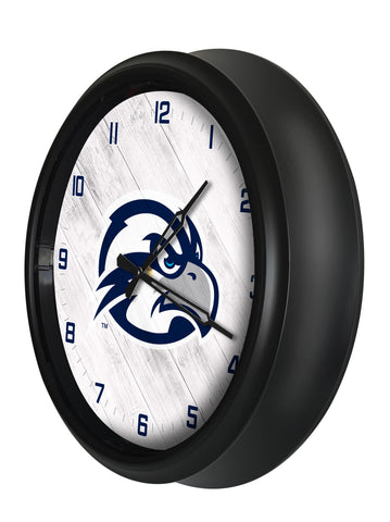 North Florida Ospreys Logo LED Clock | LED Outdoor Clock