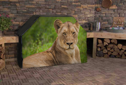 Lioness Resting Full BBQ Grill Cover